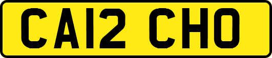 CA12CHO