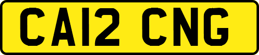 CA12CNG