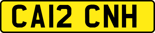 CA12CNH