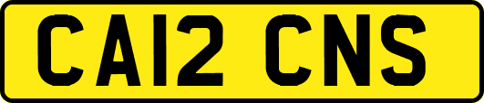 CA12CNS