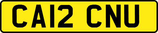CA12CNU