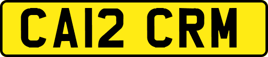 CA12CRM