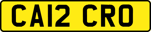 CA12CRO