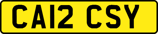 CA12CSY