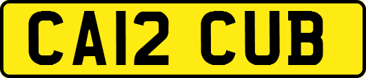 CA12CUB