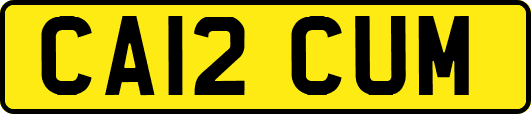 CA12CUM