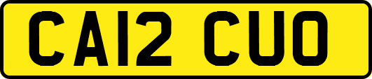 CA12CUO