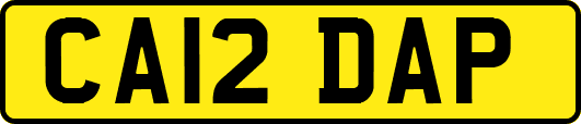 CA12DAP