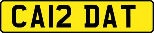 CA12DAT