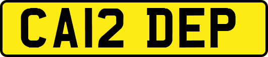 CA12DEP