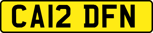 CA12DFN