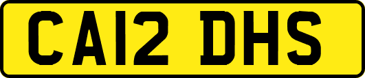 CA12DHS