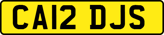 CA12DJS