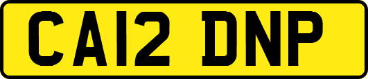 CA12DNP