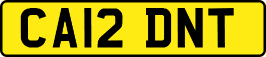 CA12DNT