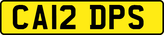 CA12DPS
