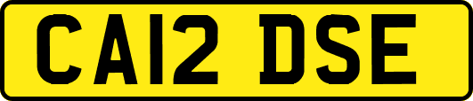 CA12DSE