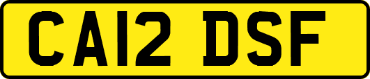 CA12DSF