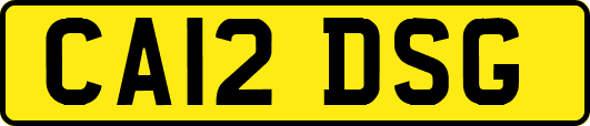 CA12DSG