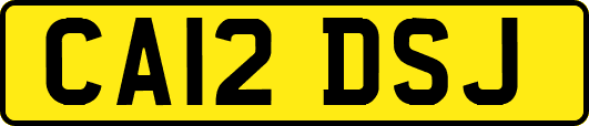 CA12DSJ