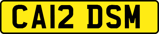 CA12DSM