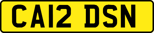 CA12DSN