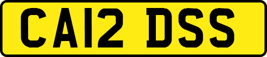 CA12DSS