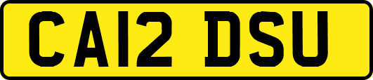 CA12DSU