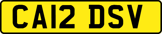 CA12DSV
