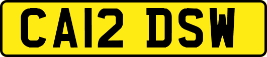CA12DSW