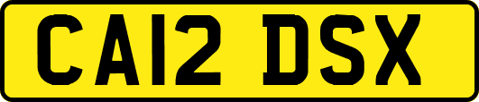 CA12DSX
