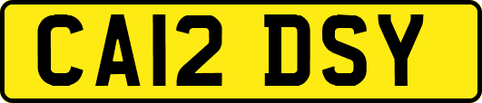 CA12DSY