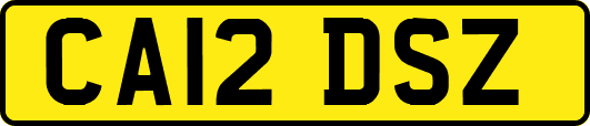 CA12DSZ