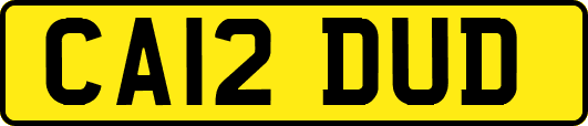 CA12DUD