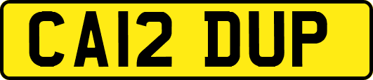 CA12DUP