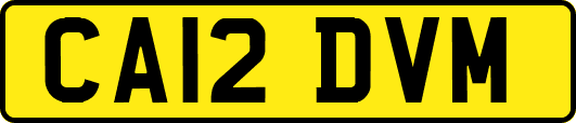 CA12DVM