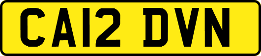 CA12DVN