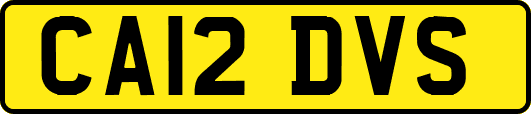 CA12DVS