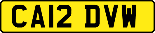 CA12DVW