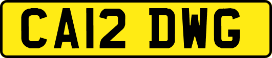 CA12DWG