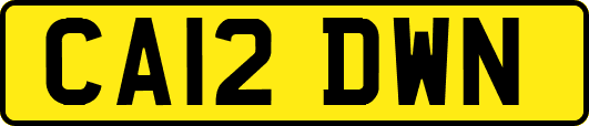 CA12DWN