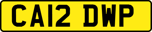 CA12DWP