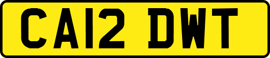 CA12DWT