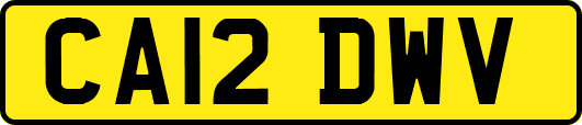 CA12DWV