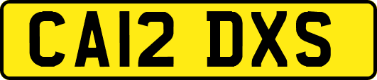CA12DXS