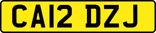 CA12DZJ
