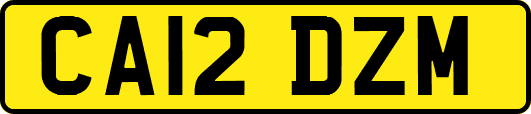 CA12DZM