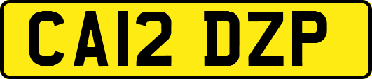 CA12DZP