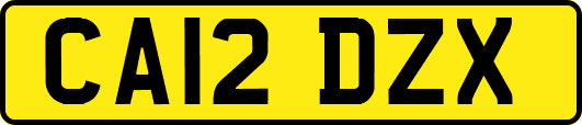 CA12DZX