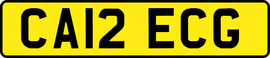 CA12ECG